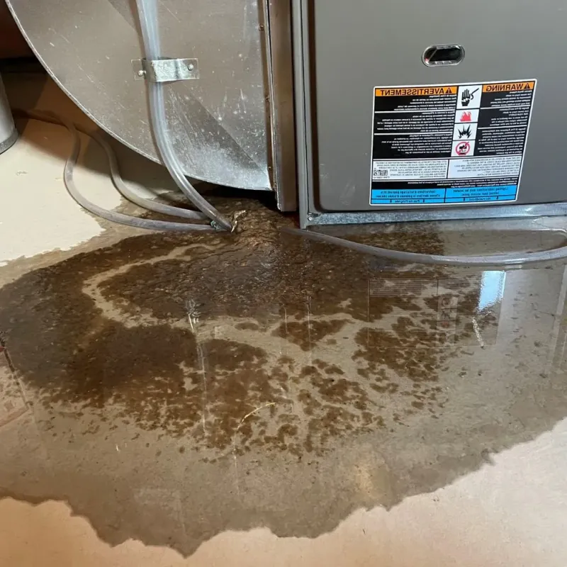 Pipe Burst and Leak Restoration in Quincy, MA